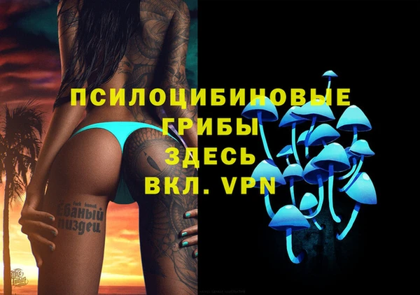 Альфа ПВП Бугульма