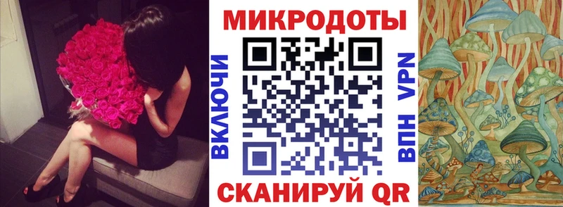 где продают Гатчина Псилоцибиновые грибы Magic Shrooms