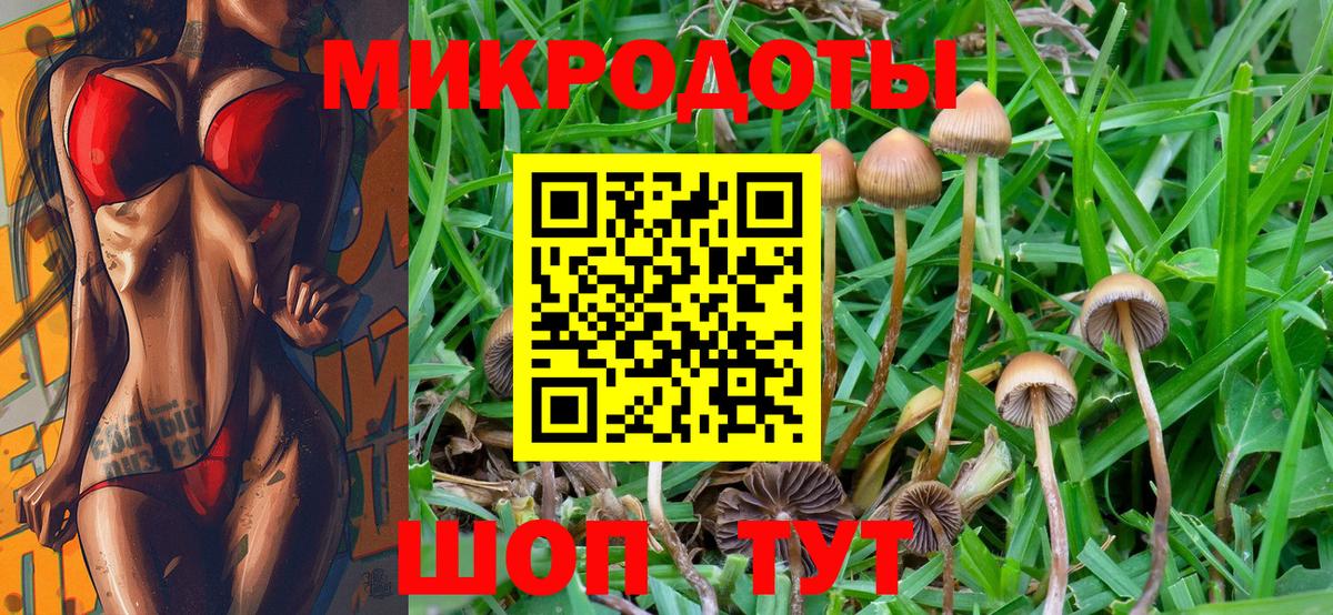 Псилоцибиновые грибы мухоморы Гатчина