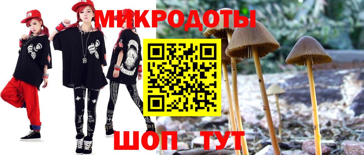 Галлюциногенные грибы GOLDEN TEACHER  Вход с VPN  Гатчина 