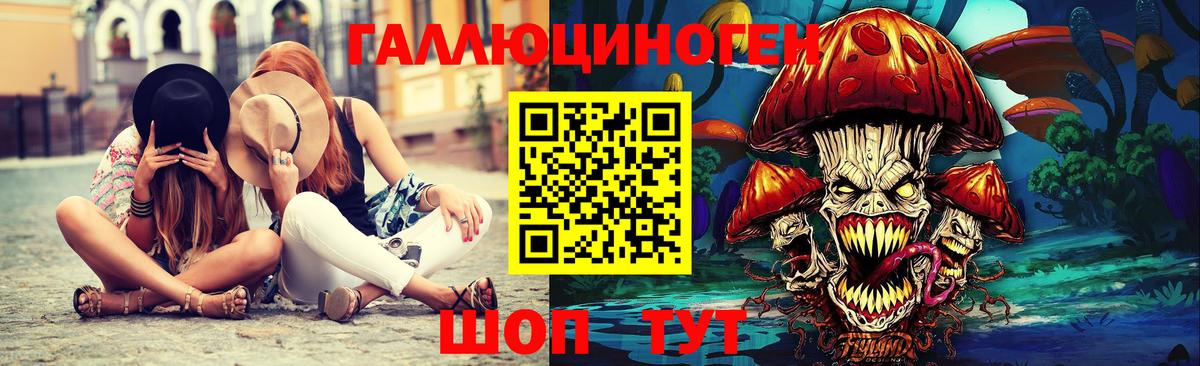 Галлюциногенные грибы Psilocybine cubensis  Гатчина 