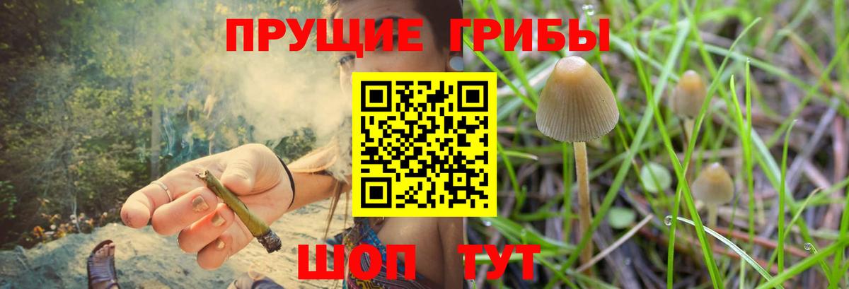 Галлюциногенные грибы ЛСД Гатчина
