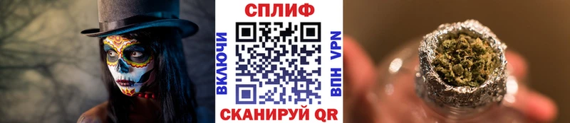 Конопля конопля  даркнет сайт  Гатчина 