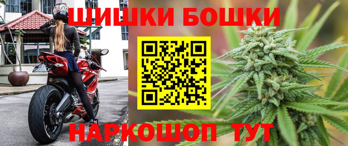 Конопля конопля Гатчина